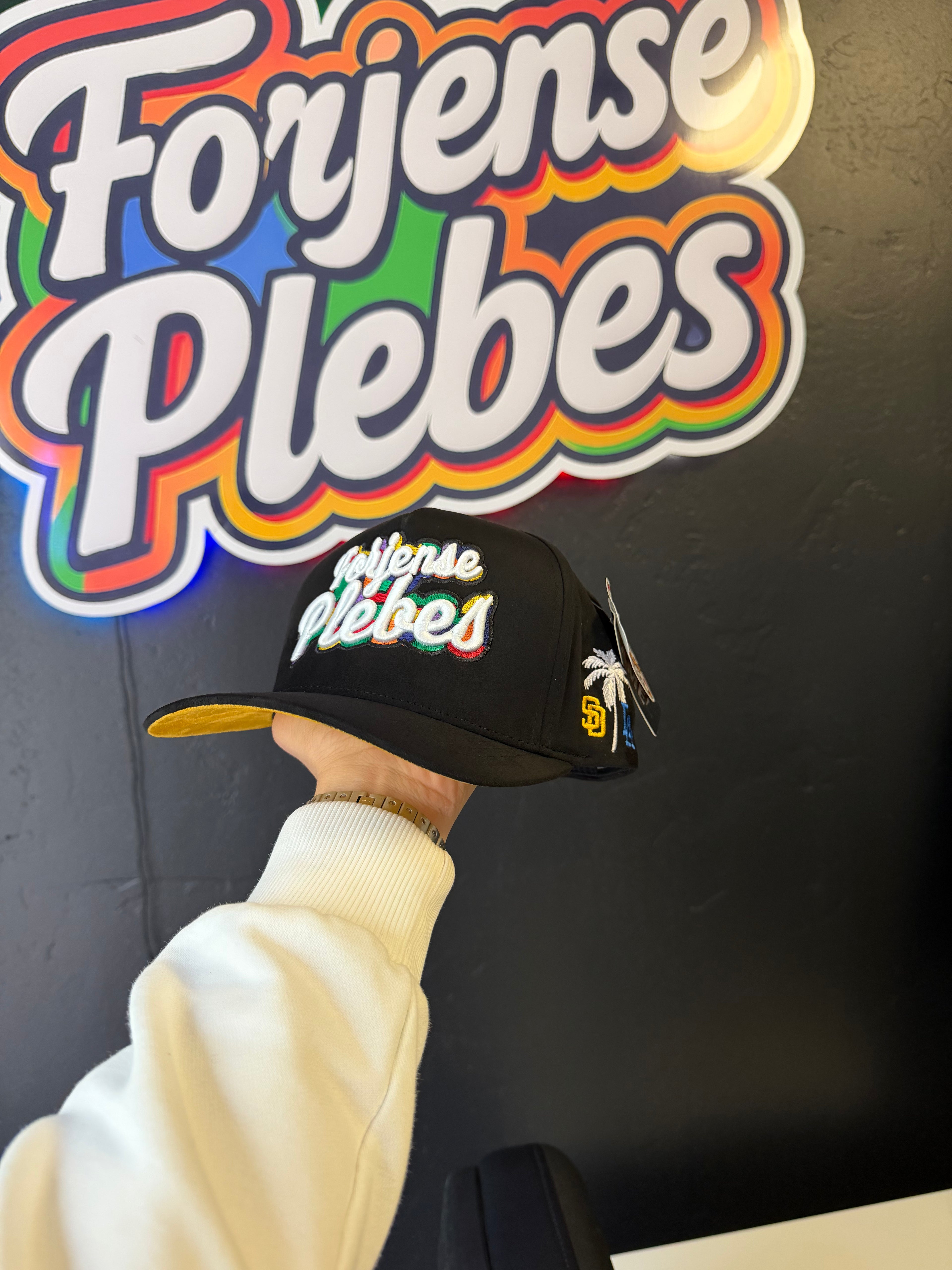 Forjense plebes 2026 Hats (suede)